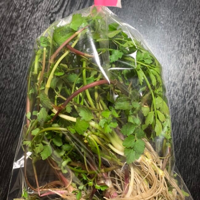 天然の根付きせり｜無農薬・自然育ちの春の山菜