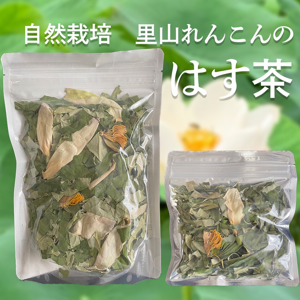 はすの葉茶