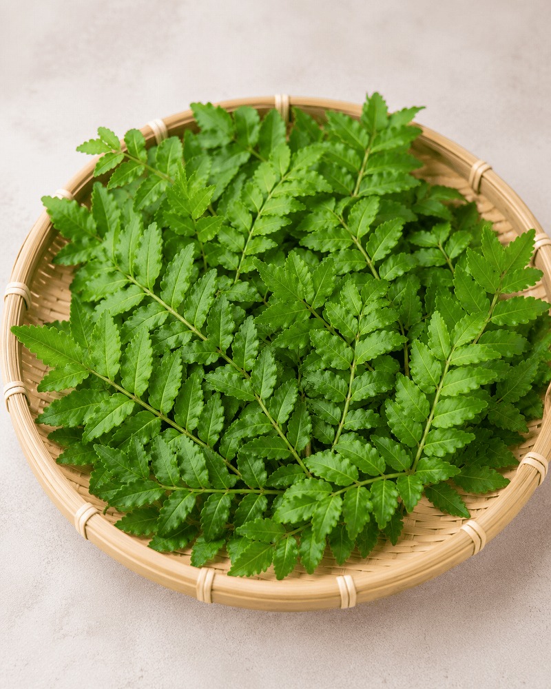 山椒の葉